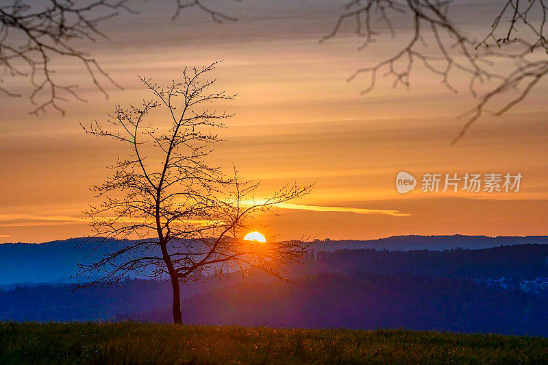Landscape, orange sunrise over wooded hills and tree branches.